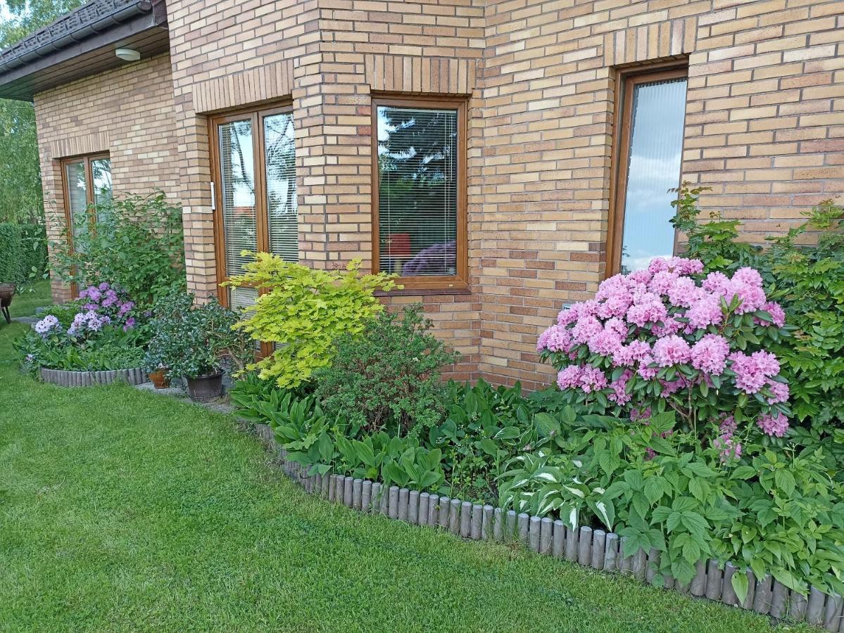 Dom Turysty Na Skarpie Apartment Malbork Luaran gambar