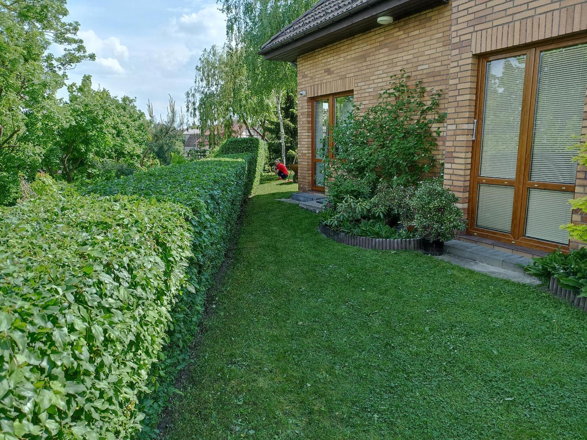 Dom Turysty Na Skarpie Apartment Malbork Luaran gambar